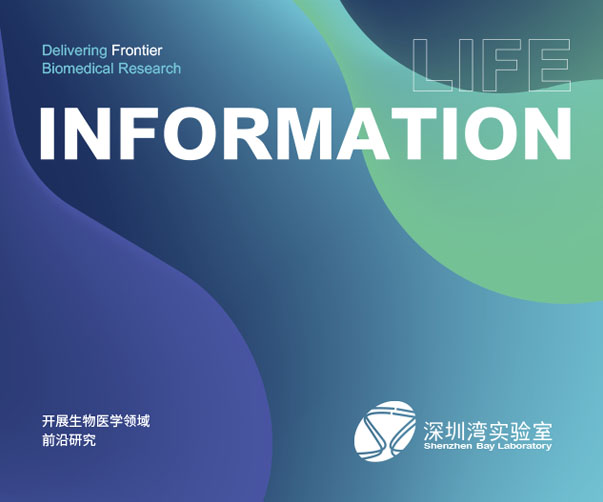 鄭州VI設計方案-打造獨特品牌形象_提升品牌價值